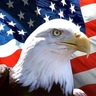 Dan Terry's profile picture