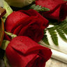 أحلام's profile picture