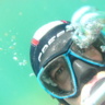 Alejandro Dominguez's profile picture