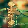 Фото профиля fofo
