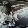 nascarvet profil fotoğrafı
