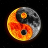 ZalaPeace♒☯️'s profile picture