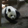 Profilbild von lwsanfran