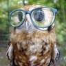 Nexo Nebro's profile picture