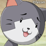Profilbild von Camina