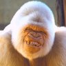 Profilbild von Richard jasper