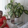 Saniye Karahan's profile picture
