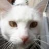 Milky profil fotoğrafı