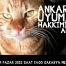 Profilbild von S. Elif Aksoy