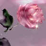 خادمة القرآن's profile picture