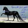 Hazwah Alajme 的头像