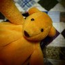 Chiz MOCHIZUKI's profile picture