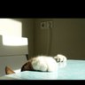 ひー profil fotoğrafı