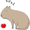 Profilbild von よよ