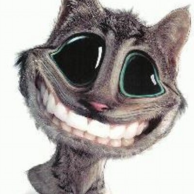 vtipy's profile picture