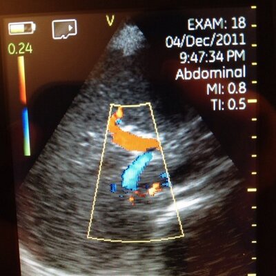 PulmCrit's profile picture