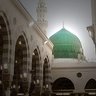 زهرة الربيع 的头像