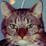 Alexander's profile picture