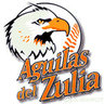 Kelvin Ordoñez's profile picture