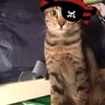 Robin Grunawalt's profile picture