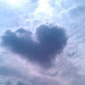 Allty13's profile picture