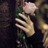 Фото профиля totah_ alghamdi