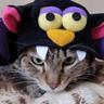 ななっち's profile picture
