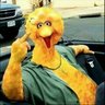 Profilbild von JB