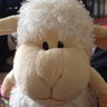 Profilbild von Sheepboyo