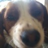busted bunny's profile picture