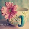 ghala_roo7y's profile picture