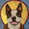 S Newman's profile picture