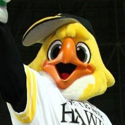 ハリーホーク(公式)'s profile picture