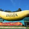 Arne Banane's profile picture