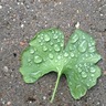 Фото профиля Florin
