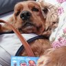 Anno.Qi profil fotoğrafı