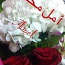 أمل بنت محمد الناصر 的头像