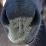 Profilbild von Rick