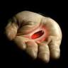 Red Pill Junkie 的头像