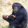 Gaffas profil fotoğrafı