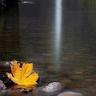 Фото профиля Happydreams Amal