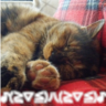 ゆんこ's profile picture