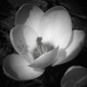 Фото профиля Christy Schneller