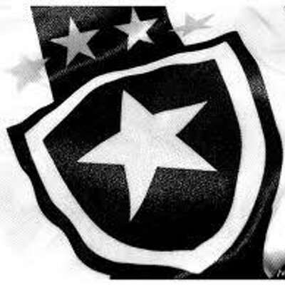 Meu Botafogo's profile picture