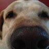 Drike's profile picture
