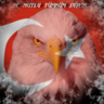 Profilbild von aras dağlı