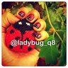 Profilbild von Ladybug_q8