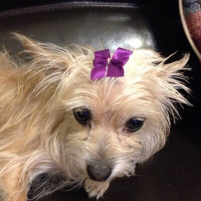 jans_julb_lizs's profile picture