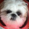 Profilbild von Pamela