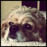 liz berg's profile picture